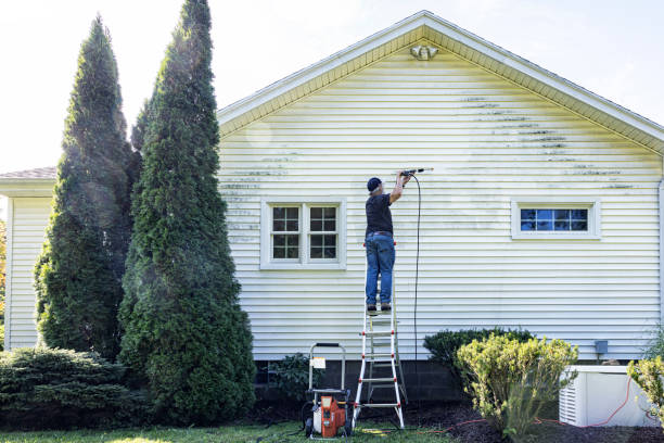Best Spring Cleaning  in Pleasureville, KY